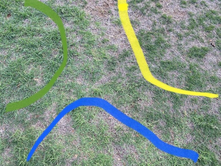 Overseeding Bermuda Grass: Why You Probably Shouldn't Do It