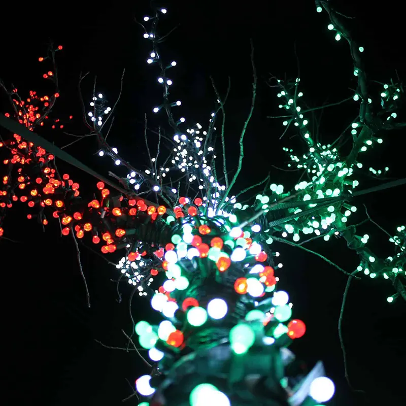 Looking up at tree wrapped in colored Christmas lights Looking up at tree wrapped in colored Christmas lights
