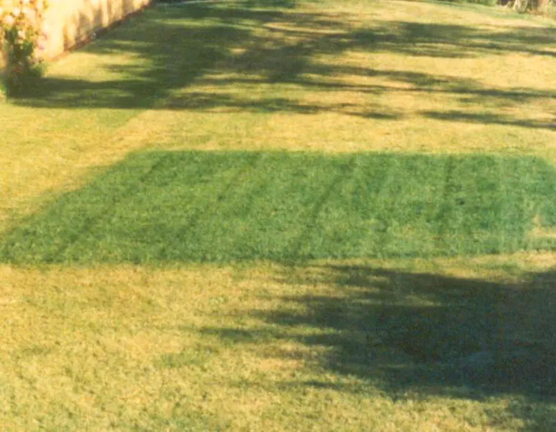 Oklahoma City lawn in need of watering