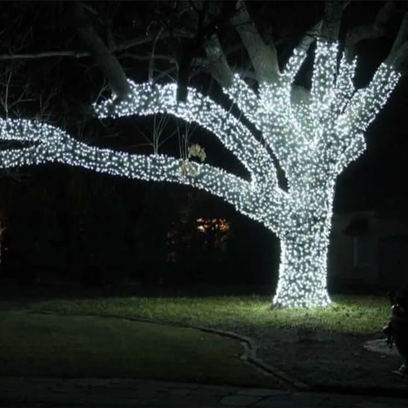 Outside tree wrapped in Christmas lights Outside tree wrapped in Christmas lights