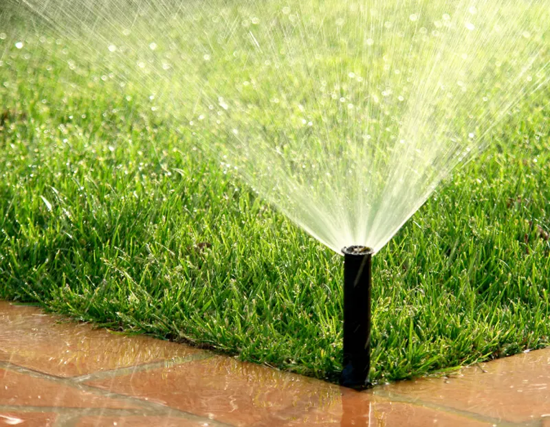 Sprinkler head watering lawn post-treatment for grub and armyworm