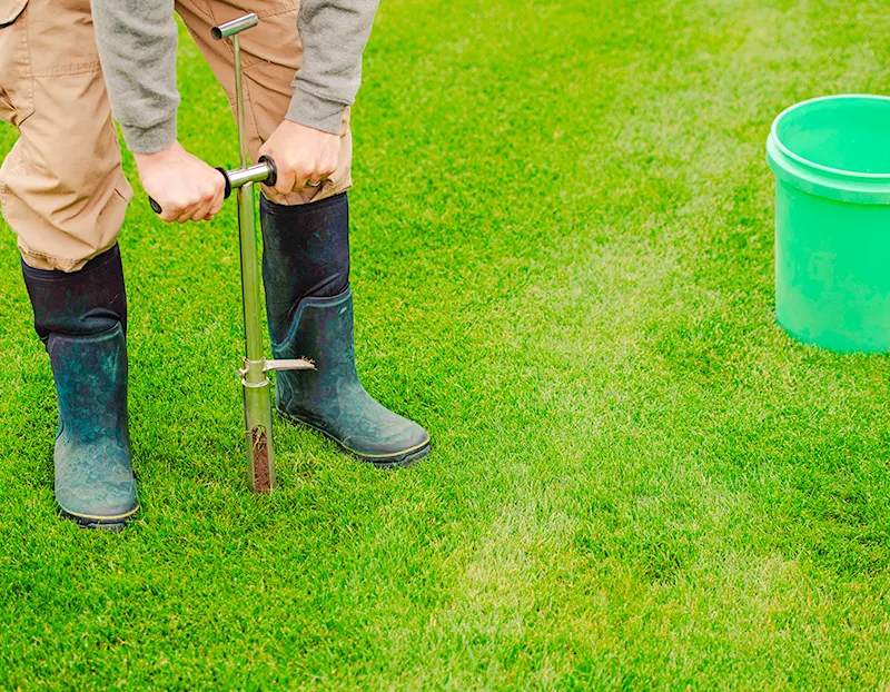Premium soil testing by Willis Lawn Services